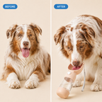 2-in-1 Portable Pet Water & Food Bottle