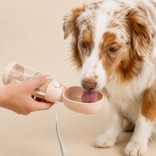 2-in-1 Portable Pet Water & Food Bottle