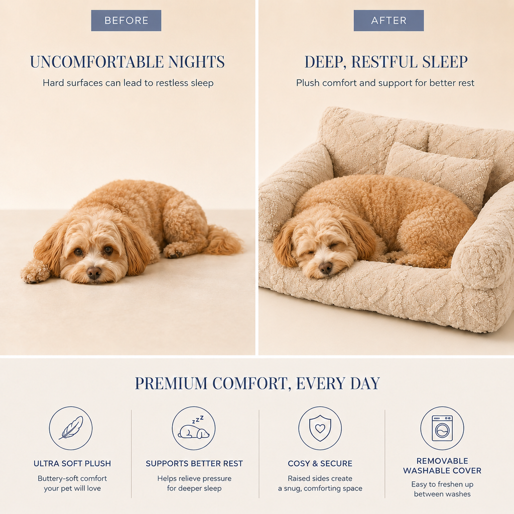 Pet Sofa Bed